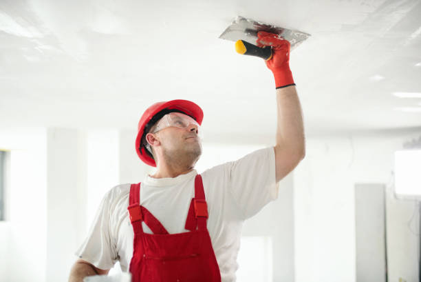 Best Emergency Mold Remediation  in Highland, MD