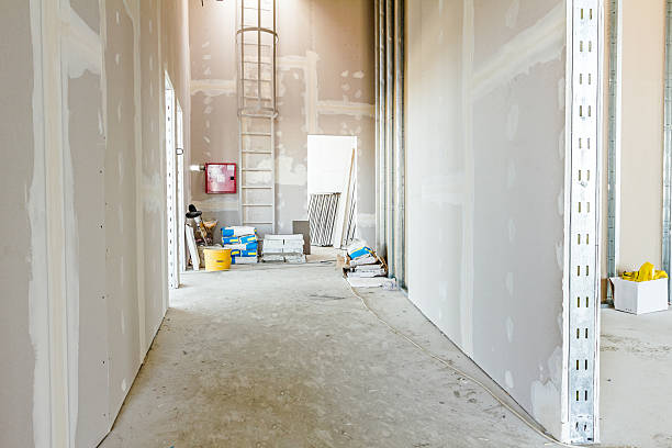 Best Commercial Mold Inspection  in Highland, MD